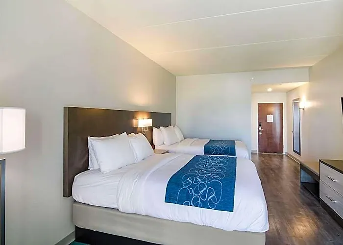 Comfort & East Near Gulf State Park Hotel Gulf Shores